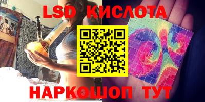 прущие грибы Будённовск