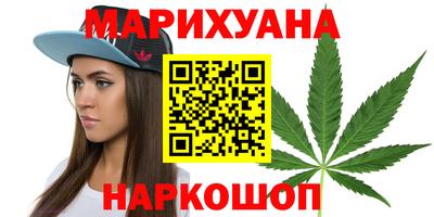 прущие грибы Будённовск