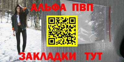 прущие грибы Будённовск